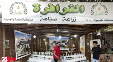الزيتون بـ ٦٠٠ جنيه بمعرض زهور الخريف إقبال كبير وأسعار غير متوقعة